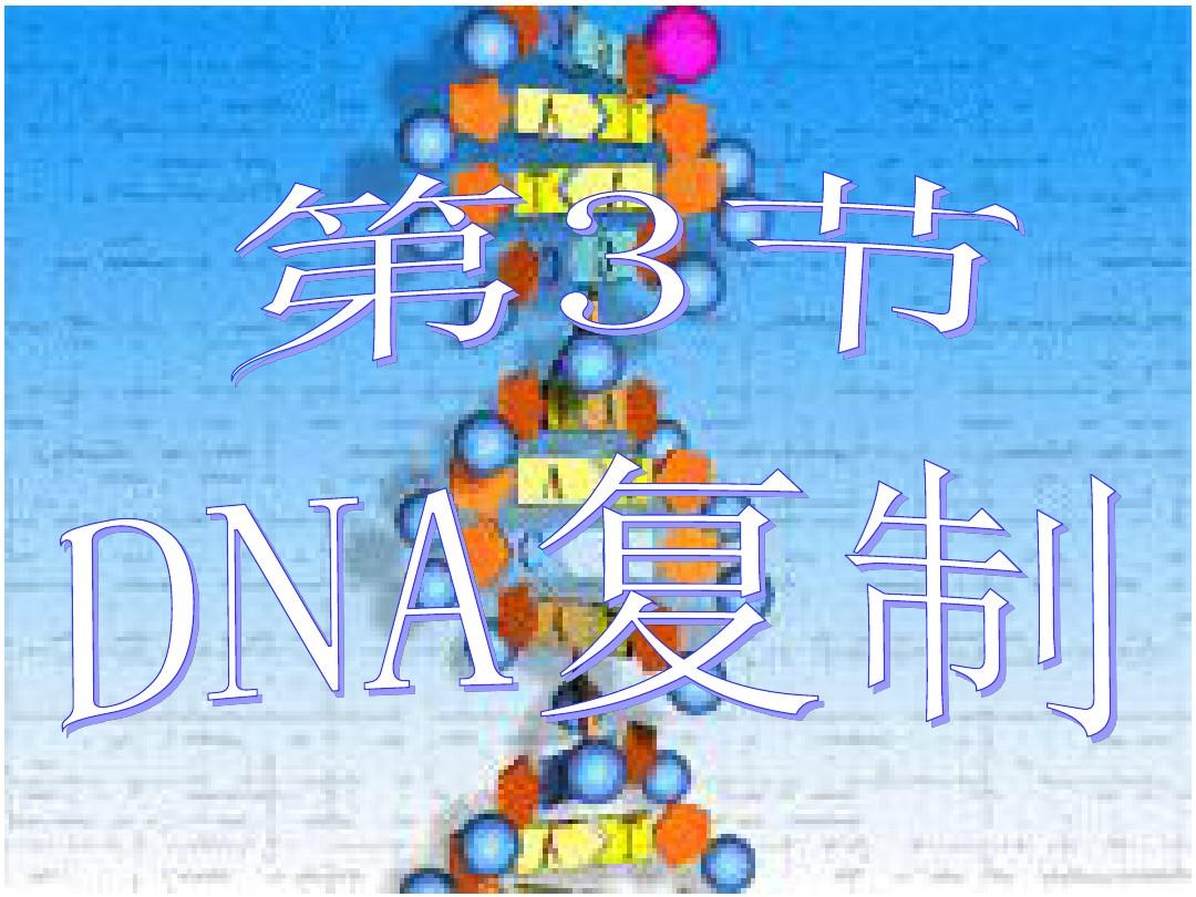 DNA的复制(最全有动画)