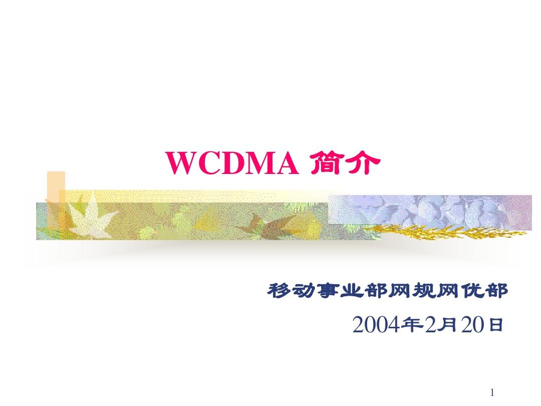 WCDMA系统简介