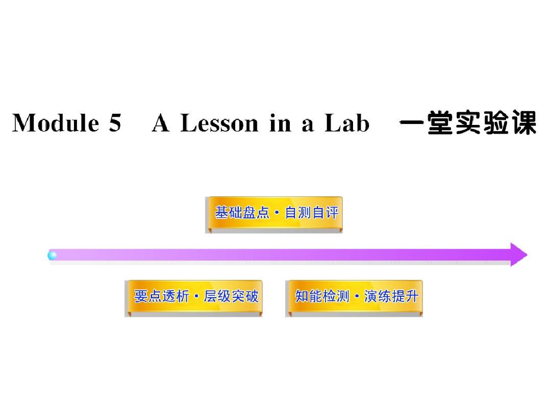 2012版高中英语全程复习方略配套课件：Module5(外研版必修1)