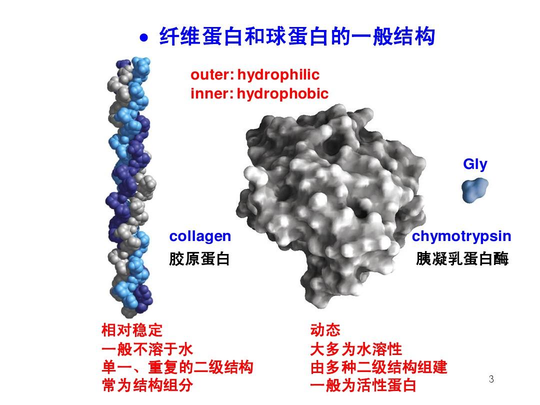 05蛋白质结构与功能s