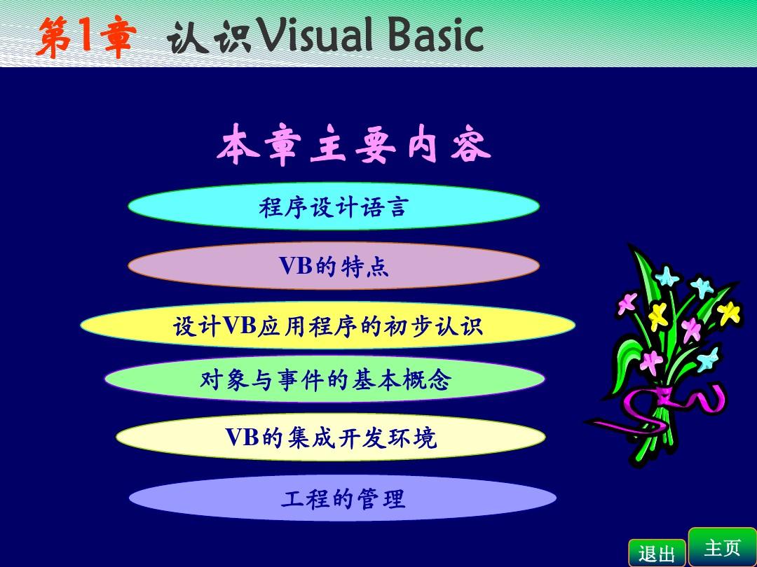 VB程序设计基础_全套课件_VB教程第1章教案