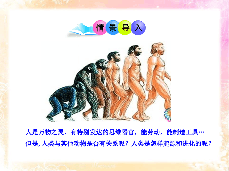 《人类的起源和进化》PPT课件
