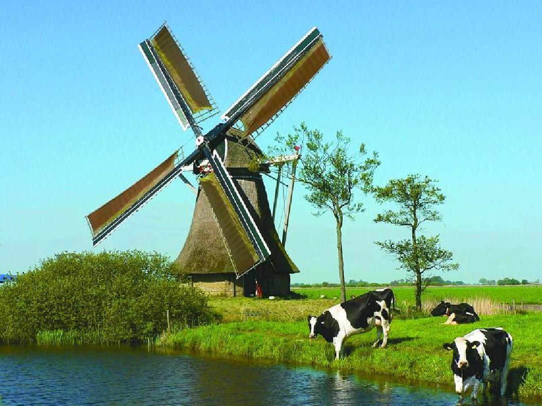 15.荷兰风车