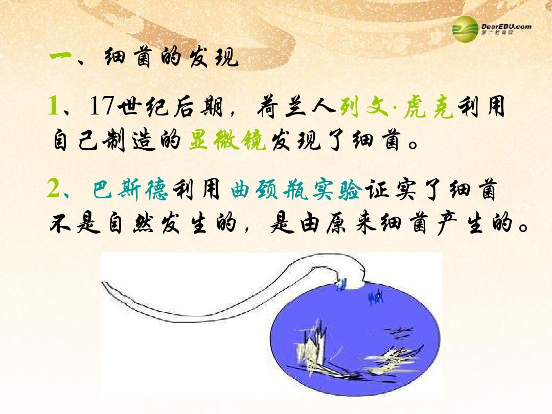 江西省赣县第二中学八年级生物上册 5-4-2 细菌课件 新人教版