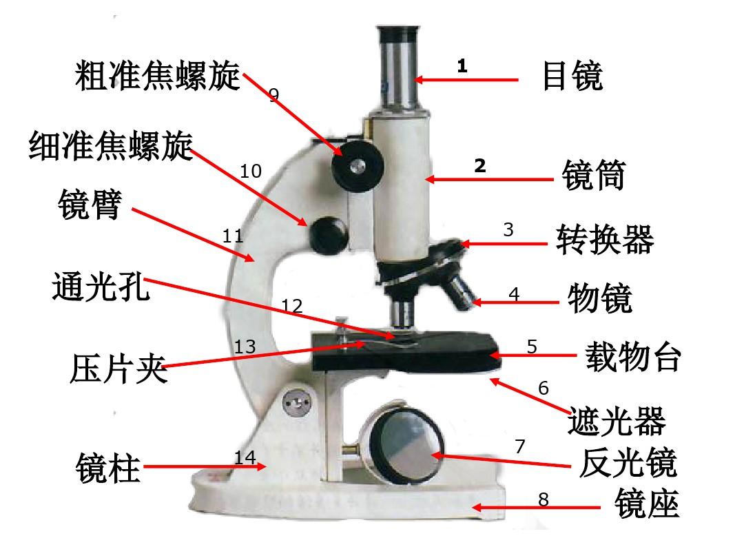 显微镜结构图及使用方法