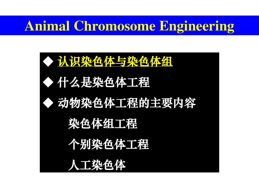 第10章动物染色体工程