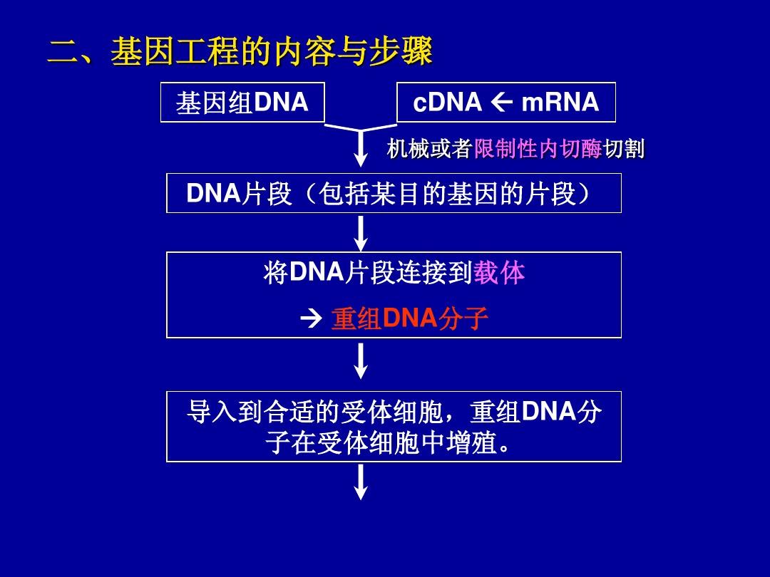 中国农业大学遗传学 09 基因工程和基因组学