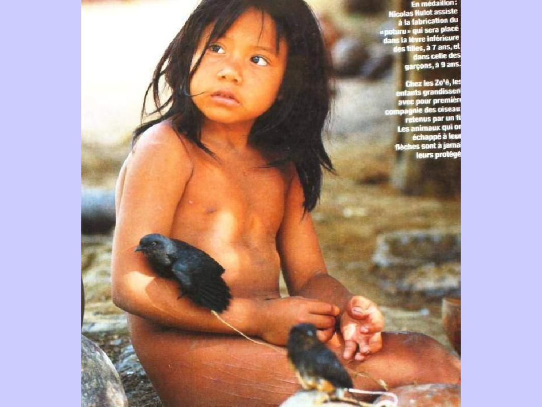 亚马逊的原始部落