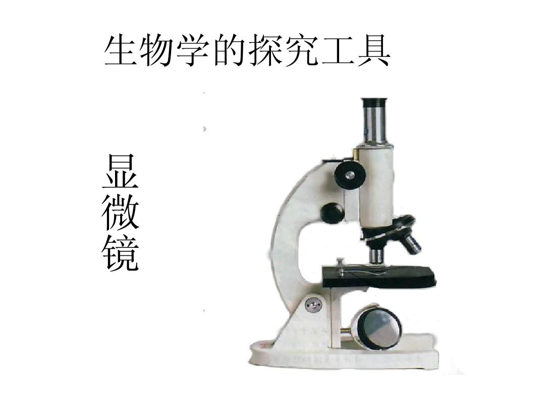 显微镜的结构及使用方法