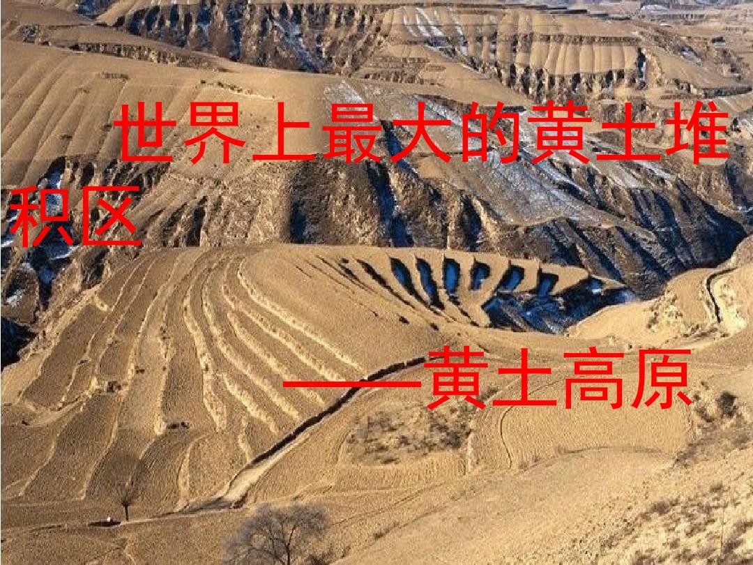 《第三节 世界最大的黄土堆积区——黄土高原》课件1