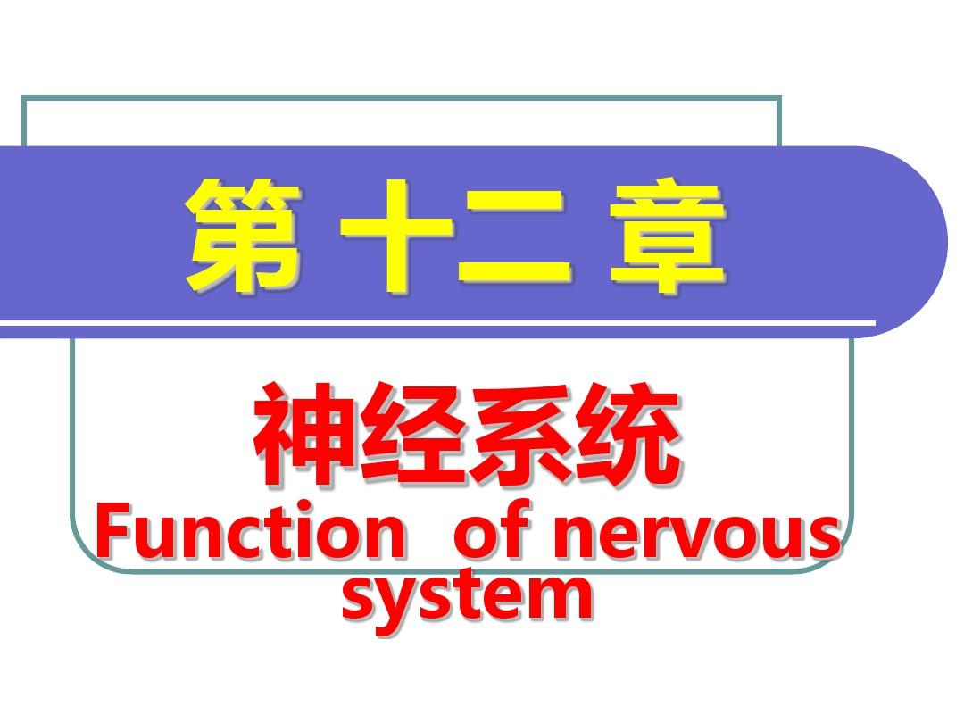 人体生理学课件-神经系统概述
