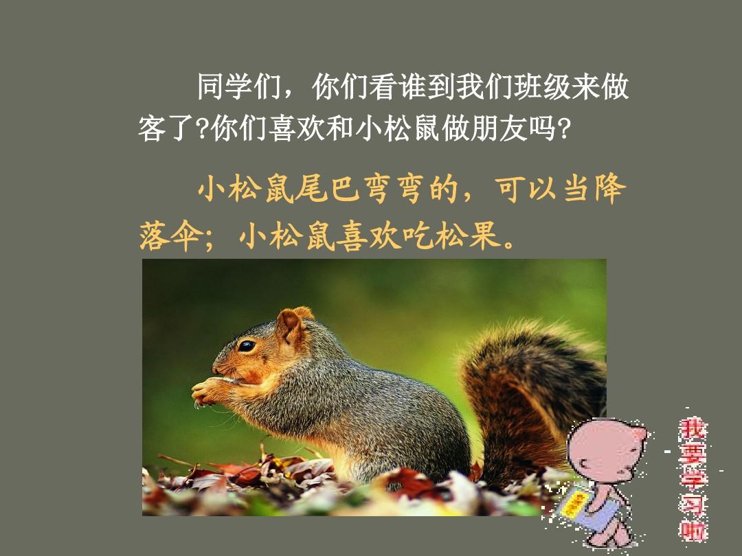 人教版一年级语文下册《松鼠和松果》