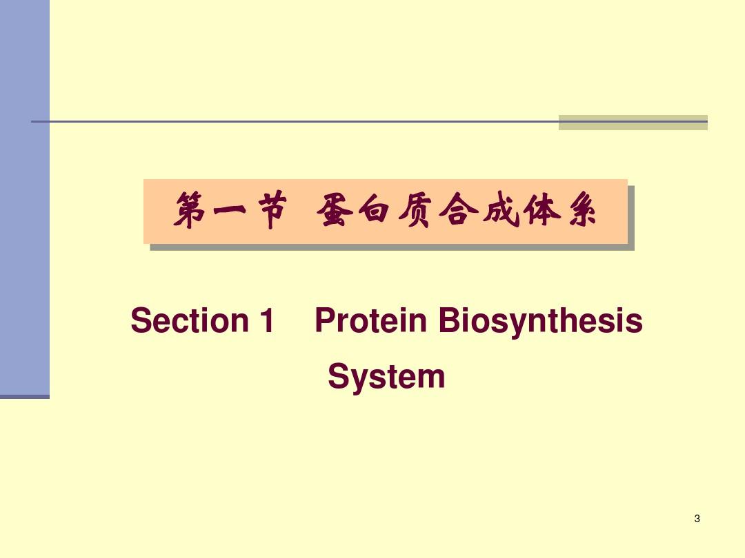 蛋白质的生物合成(翻译)