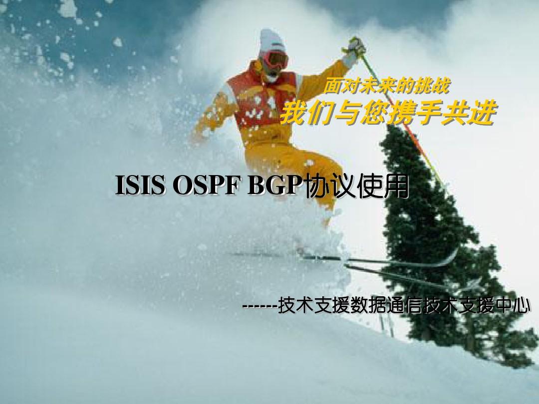 ospf-isis-bgp路由协议培训V2.0