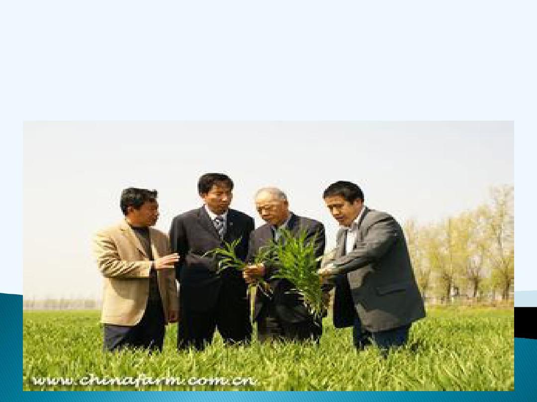 农业推广学-第08章 农业推广计划与项目管理