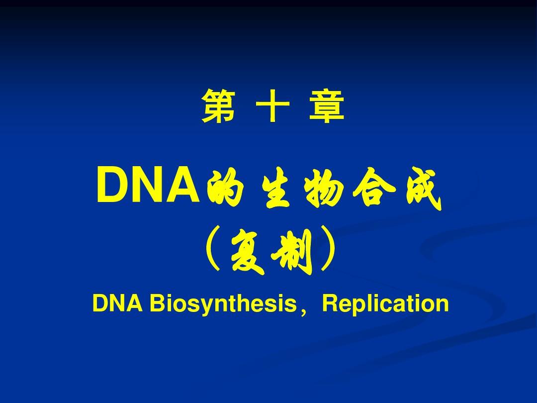 DNA的生物合成-复旦大学生物化学PPT课件