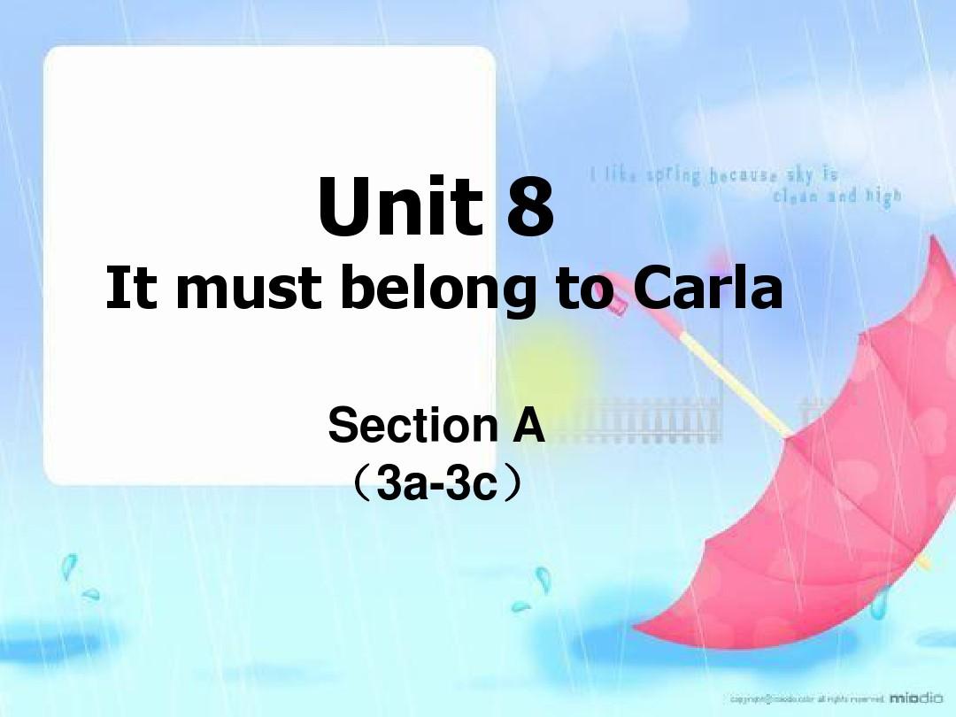 新人教版九年级Unit8._It_must_belong_to_Carla.(Grammmar Focus-4c)