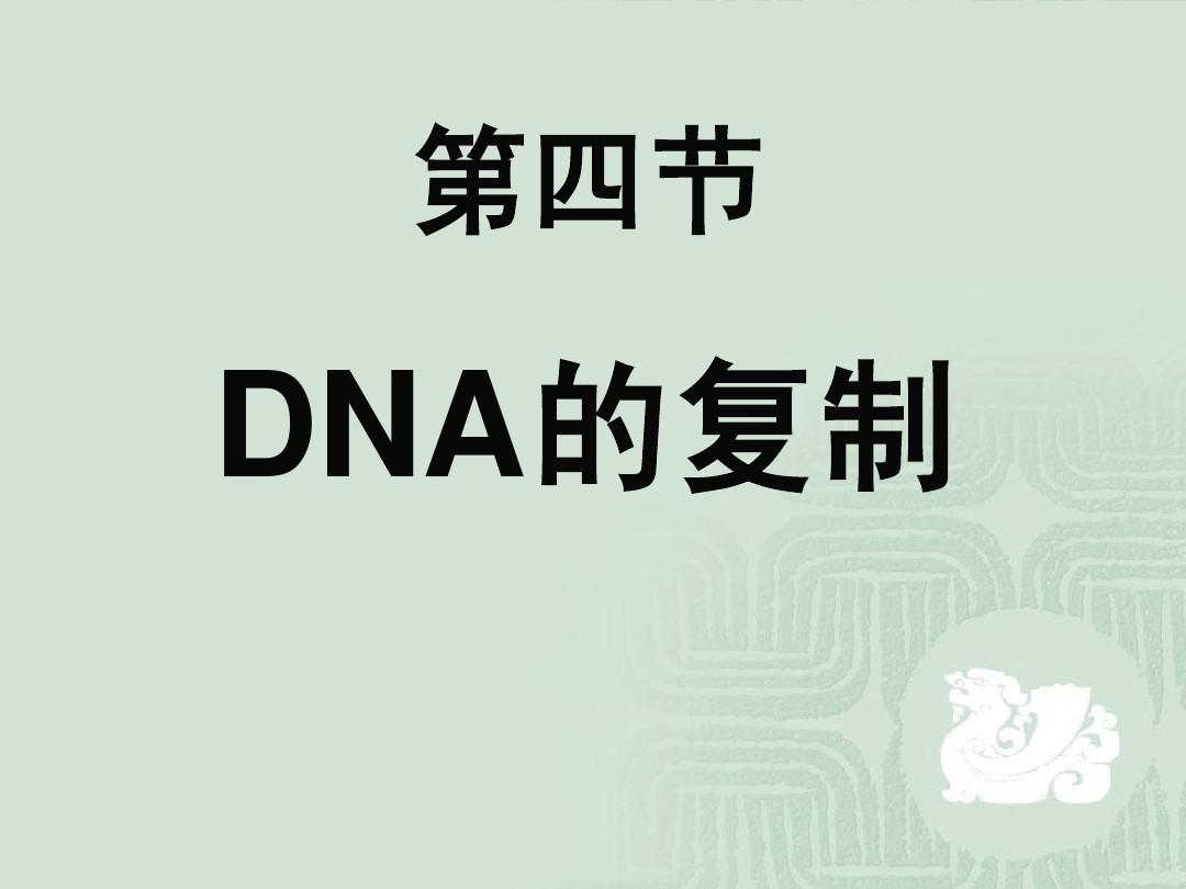 人教版教学课件DNA分子的复制-新人教[整理]