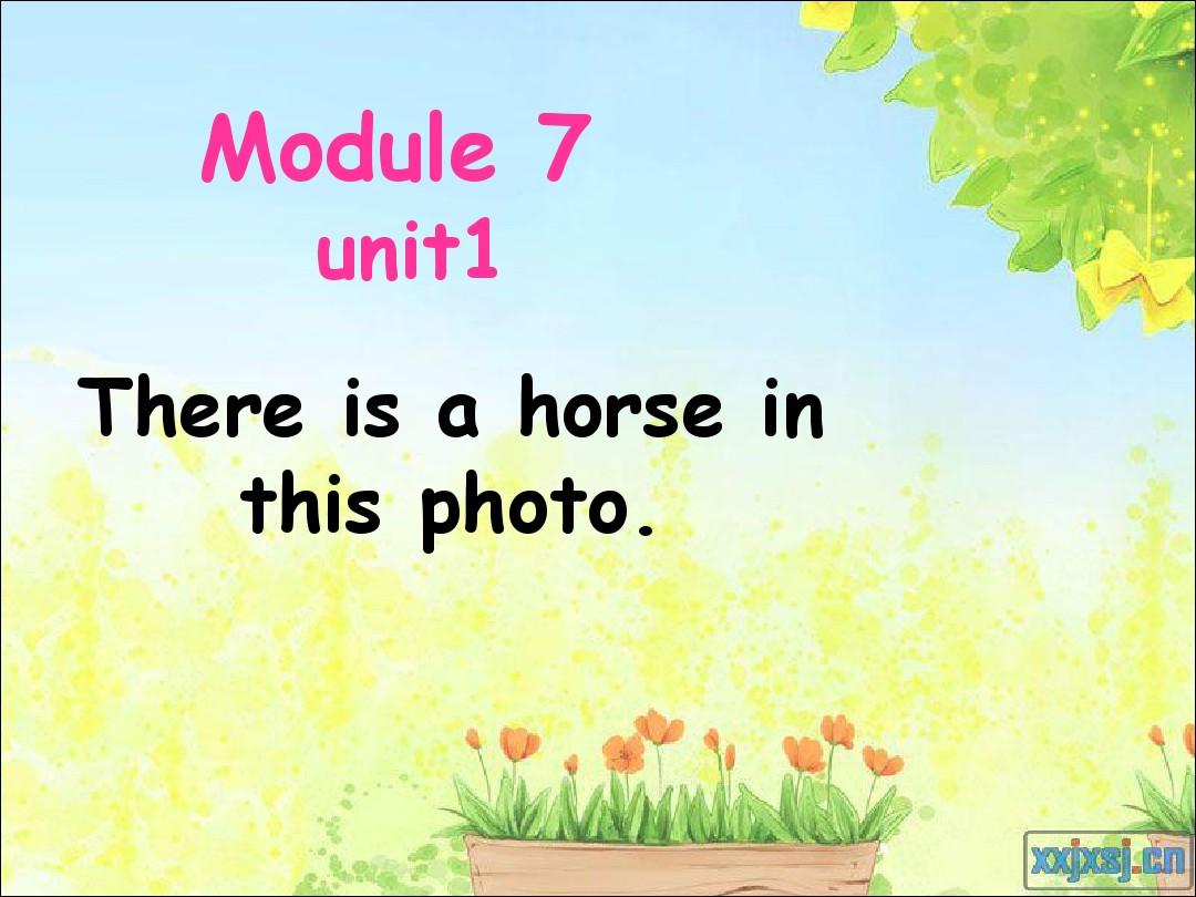 外研版英语(三起)四年级上册module 7 Unit 1 There is a horse in this photo公开课课件