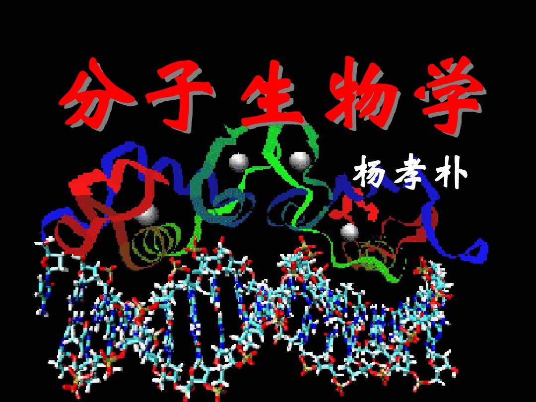 分子生物学2003-3