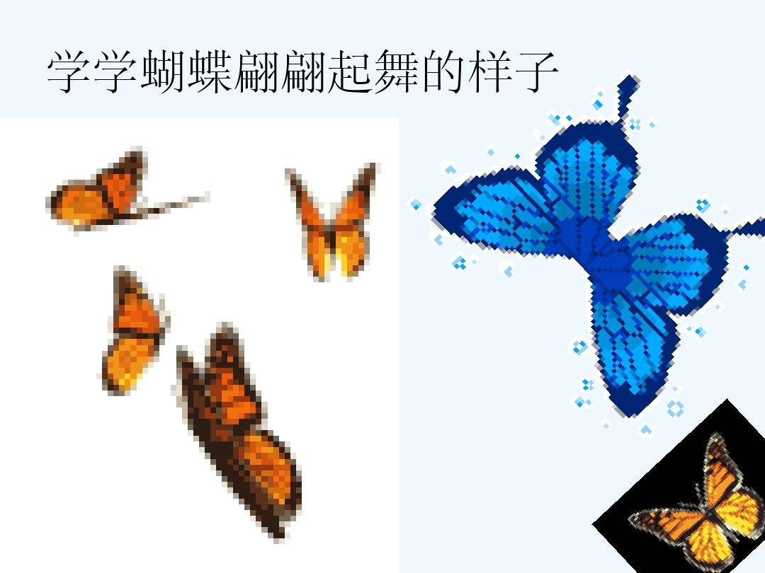 大班科学：美丽的蝴蝶课件