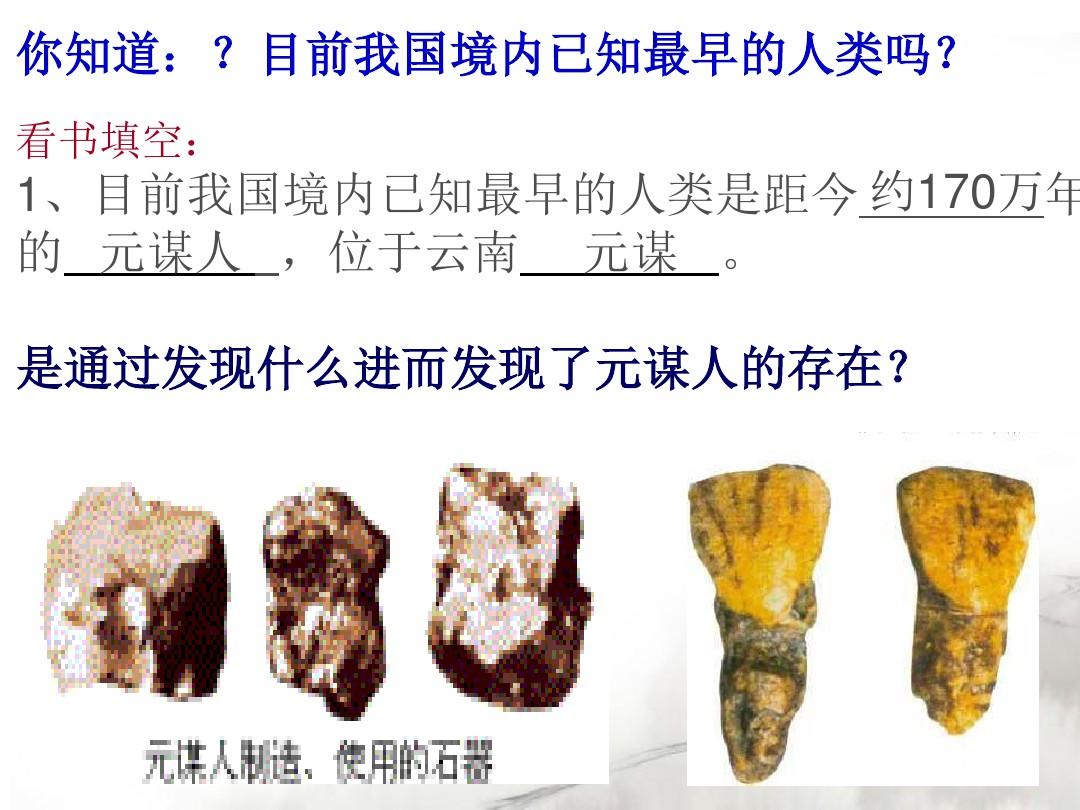 中华大地的远古人类课件