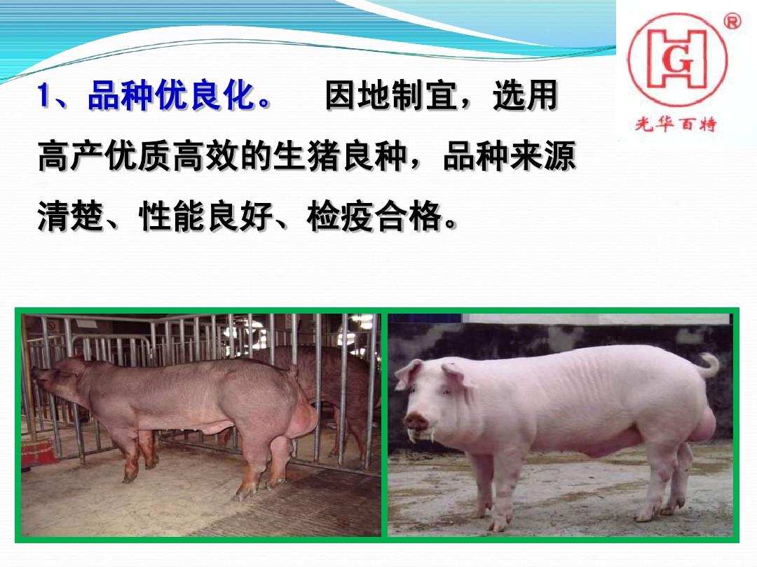 生猪标准化养殖场建设指导