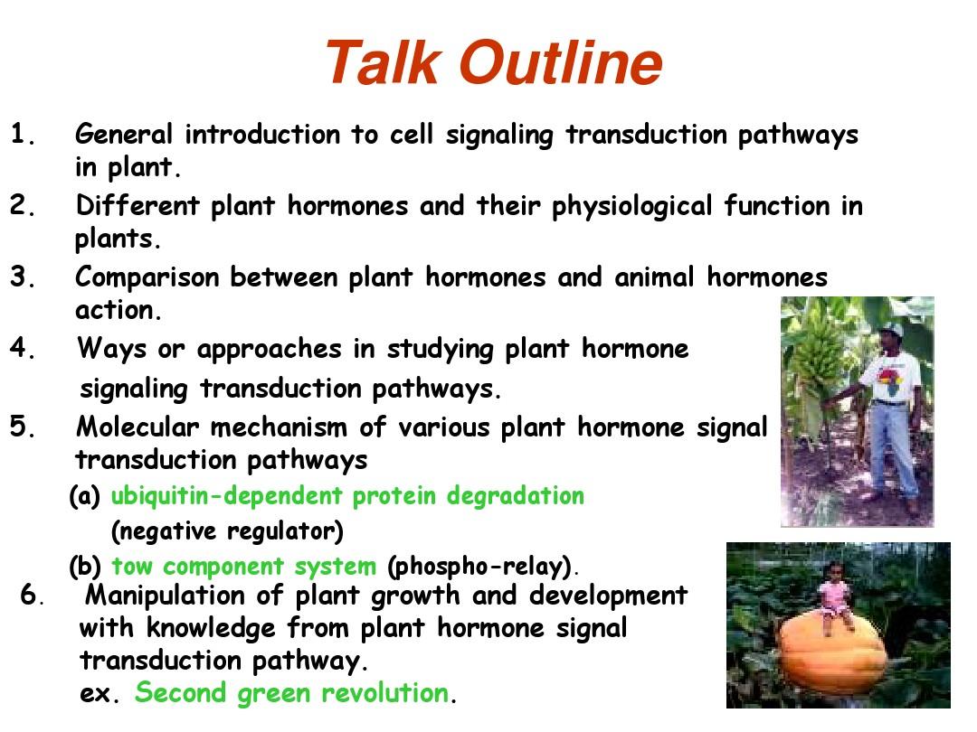 Plant Hormone Signal