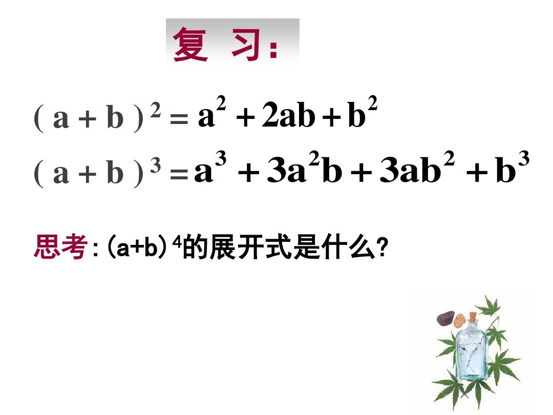 河南省长垣县第十中学高中数学选修2-3课件：1.3.1二项式定理(一)