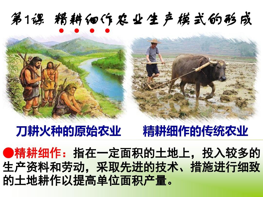 精耕细作农业生产模式的形成PPT12 岳麓版