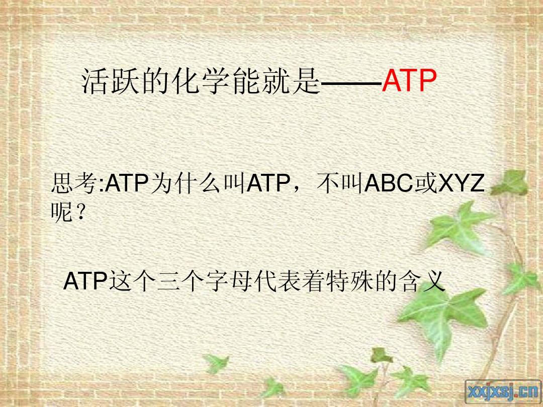 高一生物ATP及ATP与ADP转化