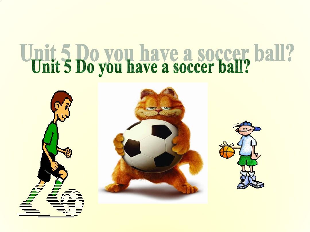 人教版初中英语七年级上册单元教学课件Unit 5Do you have a soccer ball Section A第一课时