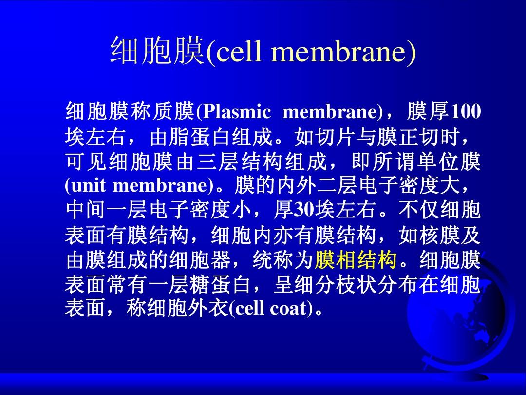 细胞超微结构