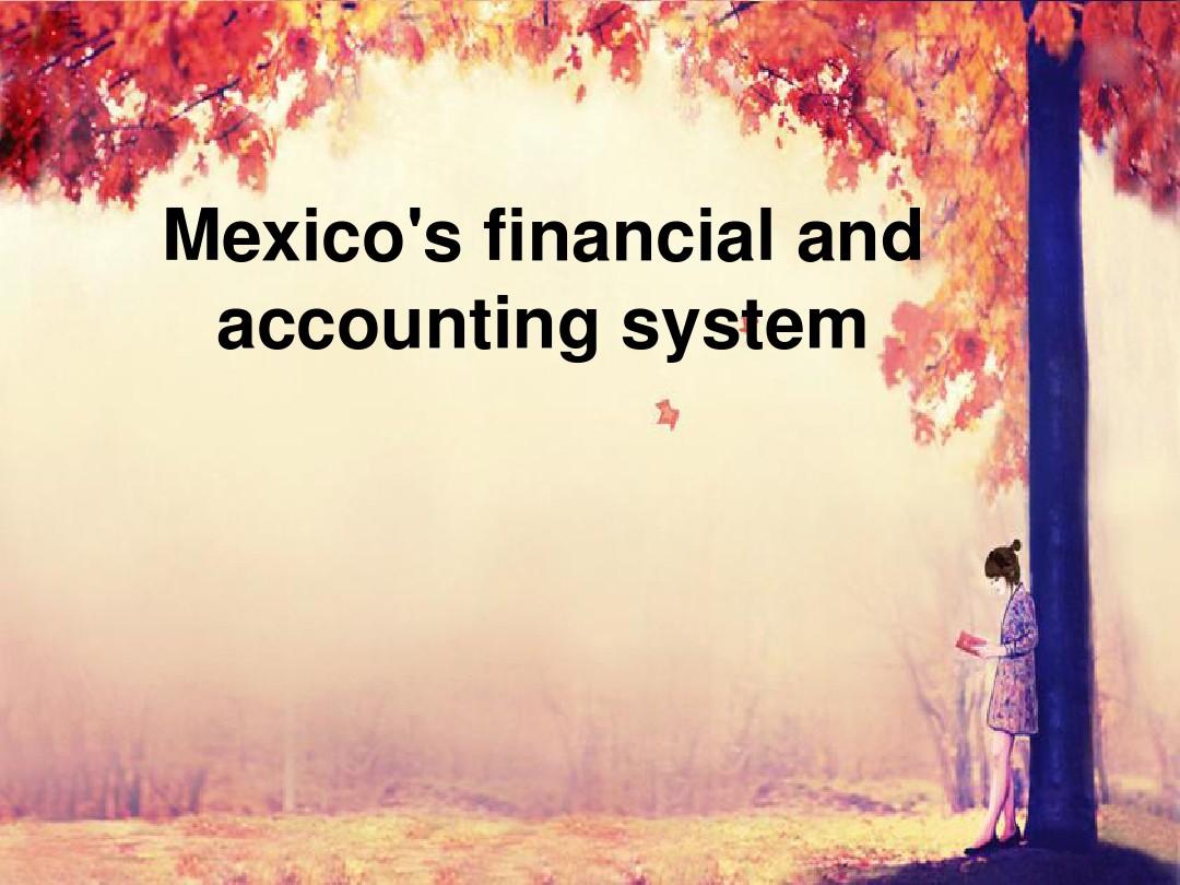 墨西哥财务会计(英文版)