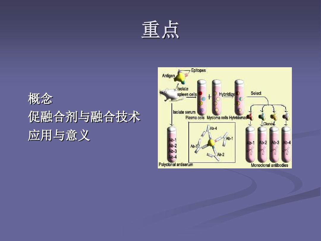 细胞生物学实验-细胞融合