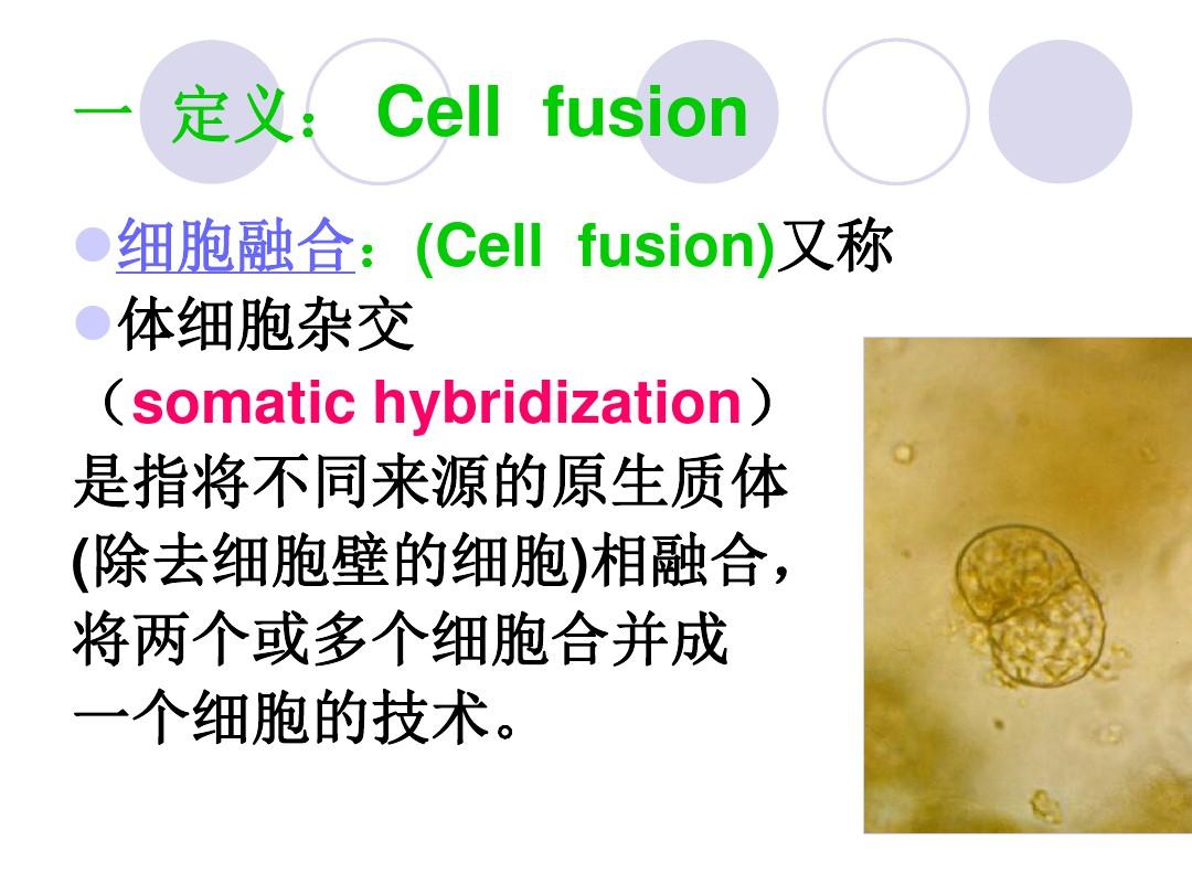 细胞生物学实验-细胞融合