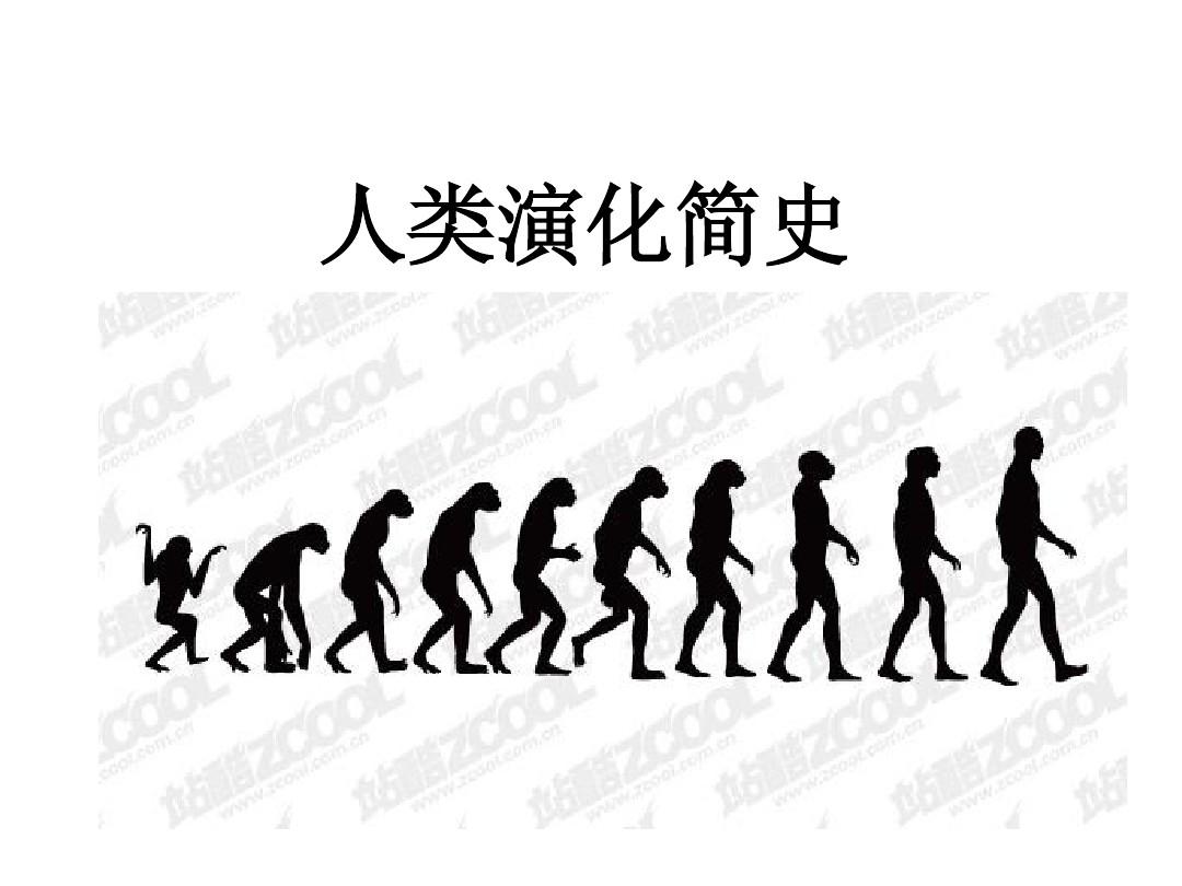 人类演化简史