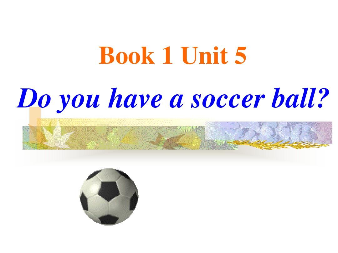 unit5_Do_you_have_a_soccer_ball？