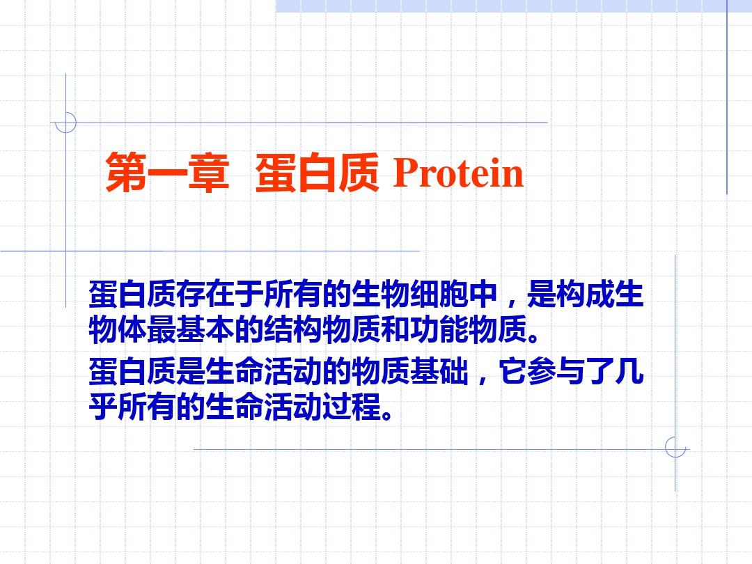 化学生物学 第一章 蛋白质