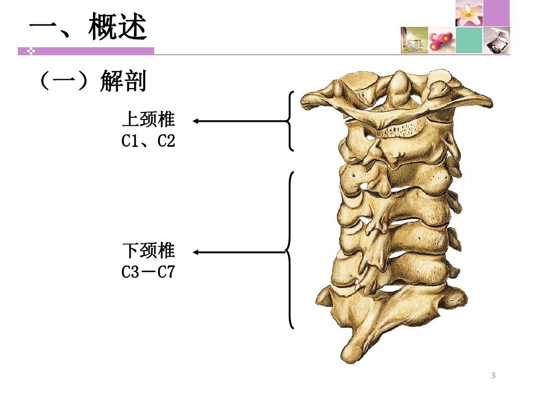 颈脊髓损伤患者的护理PPT参考幻灯片