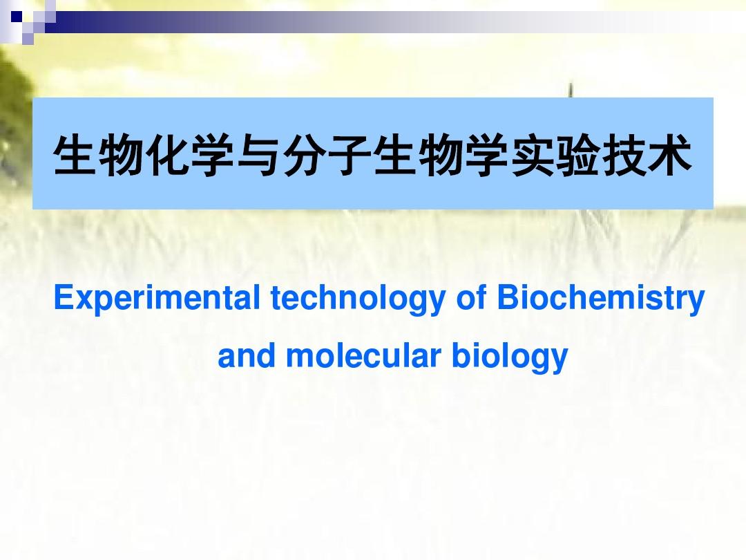 生物化学与分子生物学实验技术 PPT