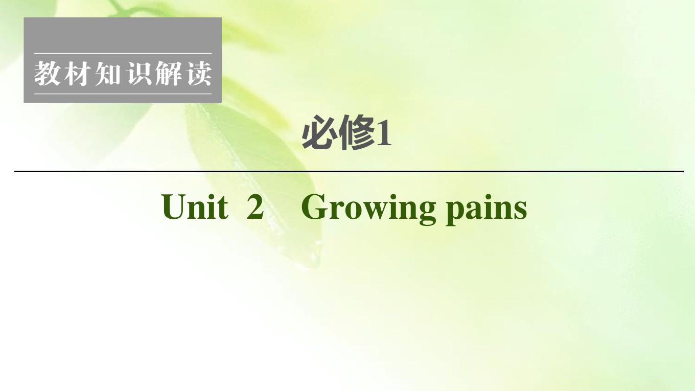【精编版】2021版新高考译林英语(江苏专版)一轮课件：必修1 Unit 2 Growing pains