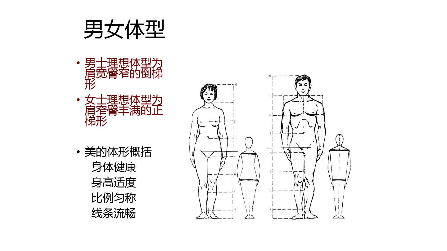 个人形象设计—男女体型分类与服装搭配