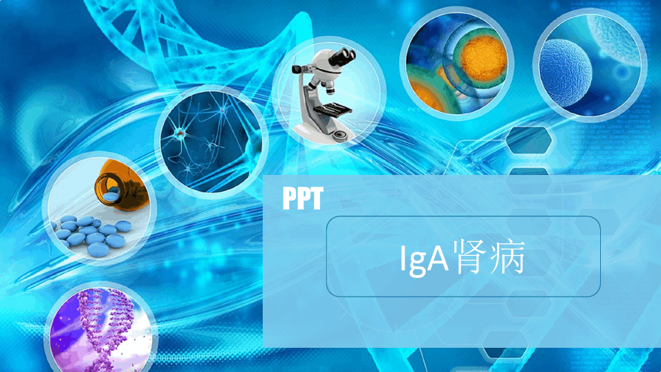 IgA肾病(教学示范PPT)