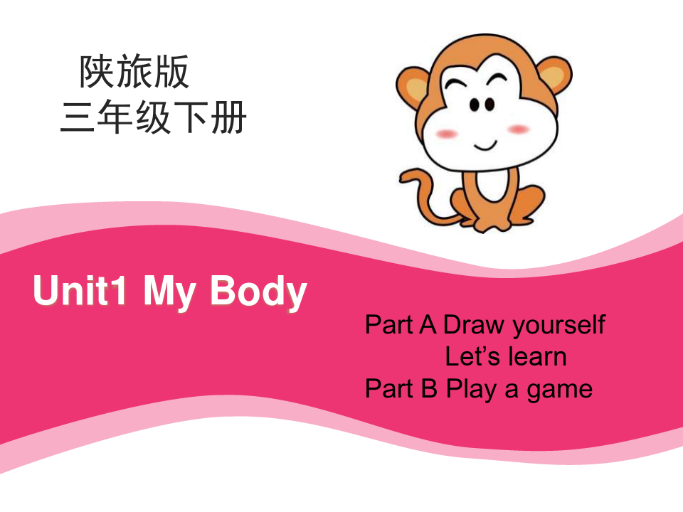 《My Body》PPT课件-陕旅版三年级英语下册