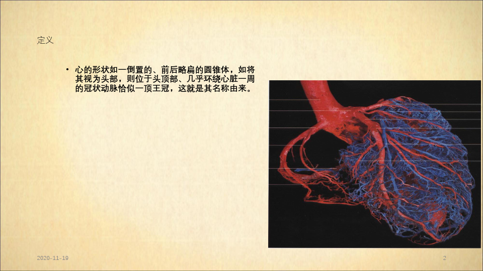 冠状动脉的解剖与冠脉造影(最新课件)