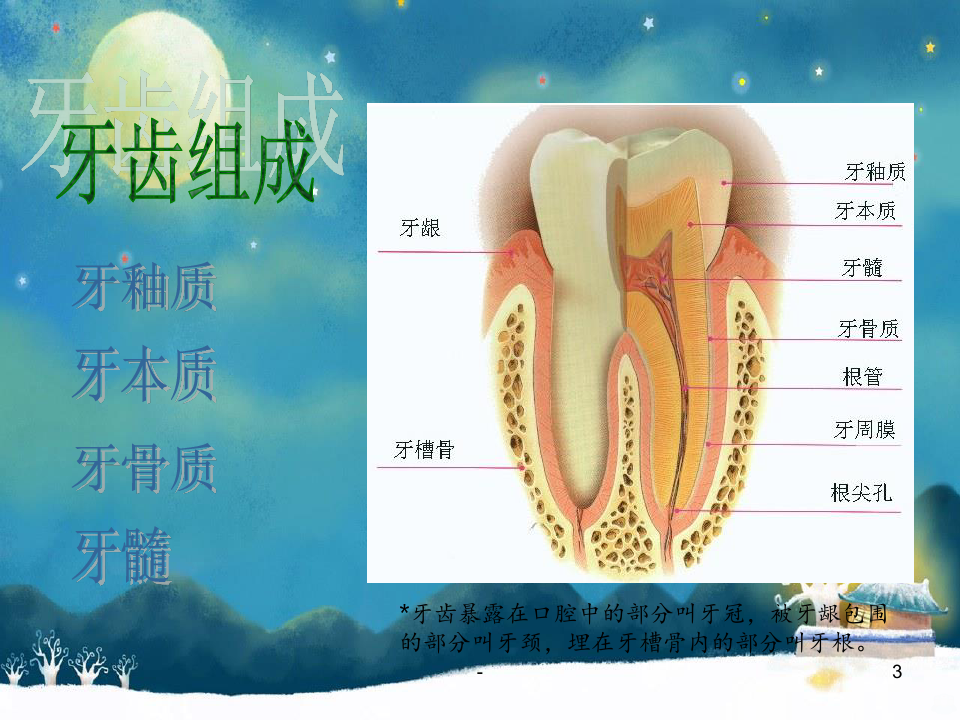 幼儿园健康教育-牙齿的保护-ppt课件