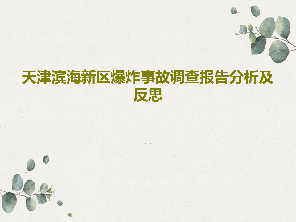 天津滨海新区爆炸事故调查报告分析及反思共30页文档