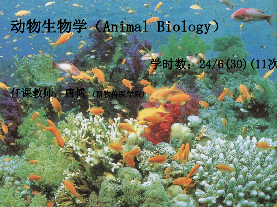 《动物生物学绪论》PPT课件