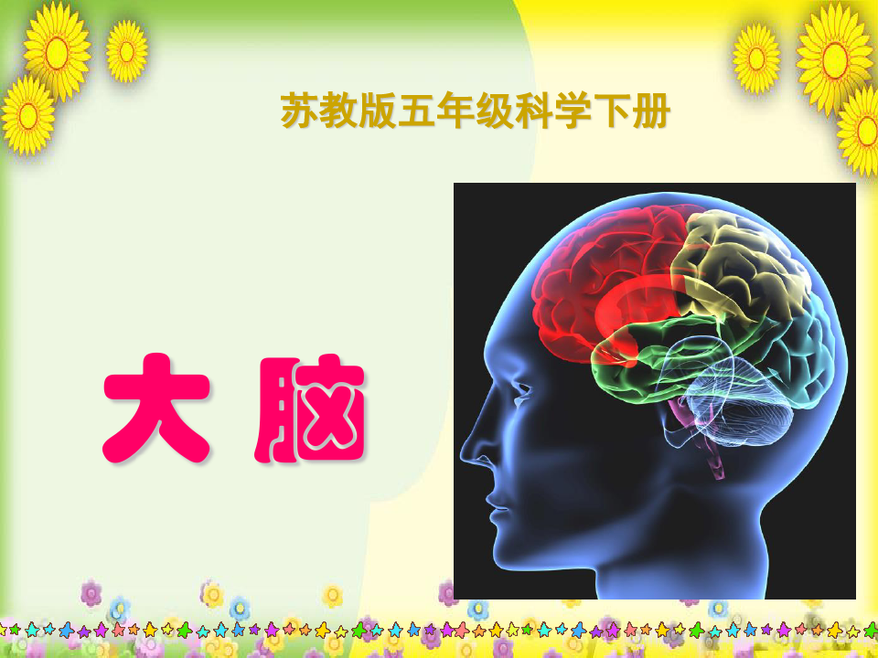 小学科学五下《大脑》PPT 公开课一等奖课件(1)